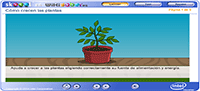 Recursos educativos sobre las plantas