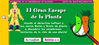 Los misterios de las plantas