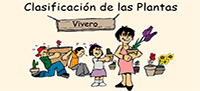 Clasificacin de las plantas