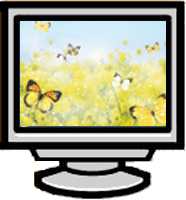 Fondos de pantalla de flores
