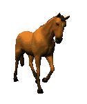 caballo027.gif