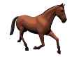 caballo029.gif