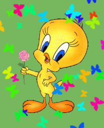 Piolin
