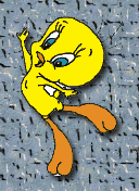 Piolin
