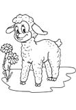 Colorear oveja