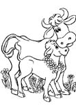 colorear vaca y su ternero
